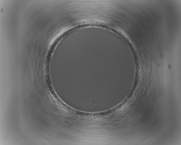 X0000055510975200509022053