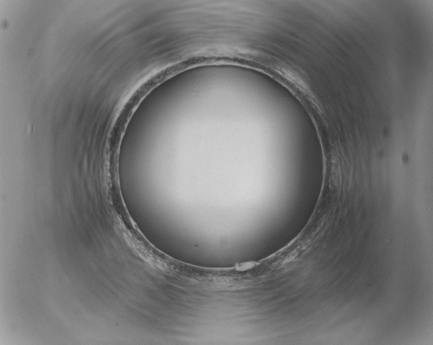 X0000055510976200509022053