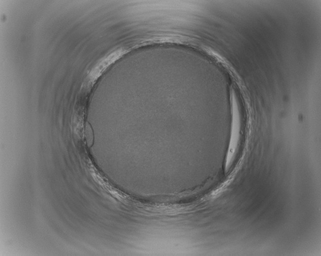 X0000055510977200509022053