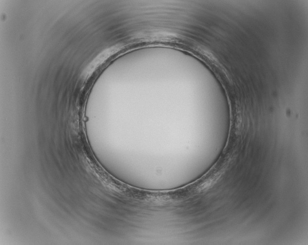 X0000055510978200509022053