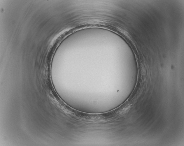 X0000055510979200509022053