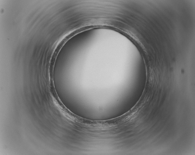 X0000055510980200509022053