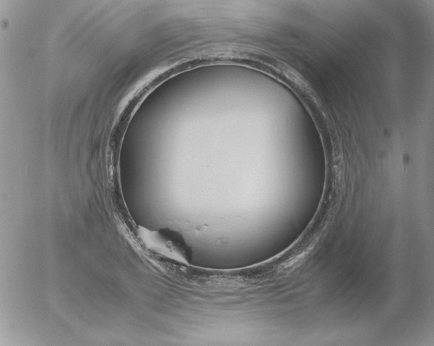 X0000055510981200509022053