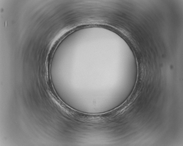 X0000055510982200509022053