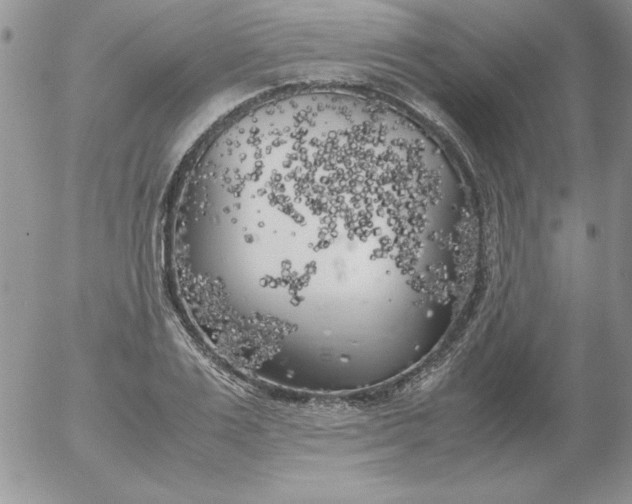 X0000055510983200509022053