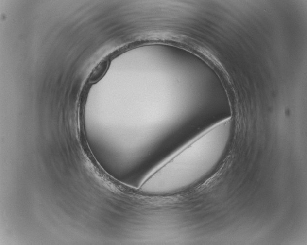 X0000055510984200509022053