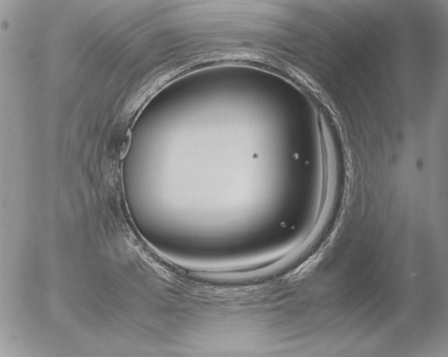 X0000055510985200509022053