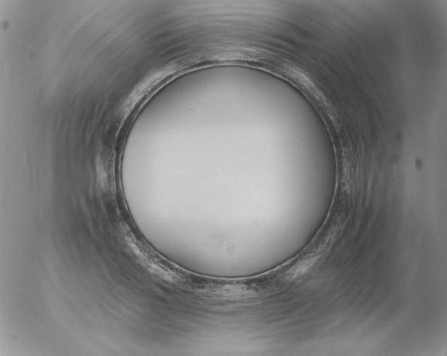 X0000055510986200509022053