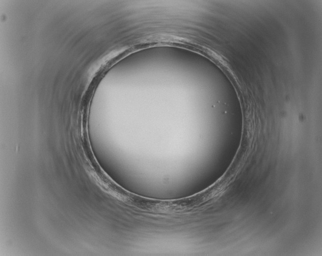 X0000055510987200509022053