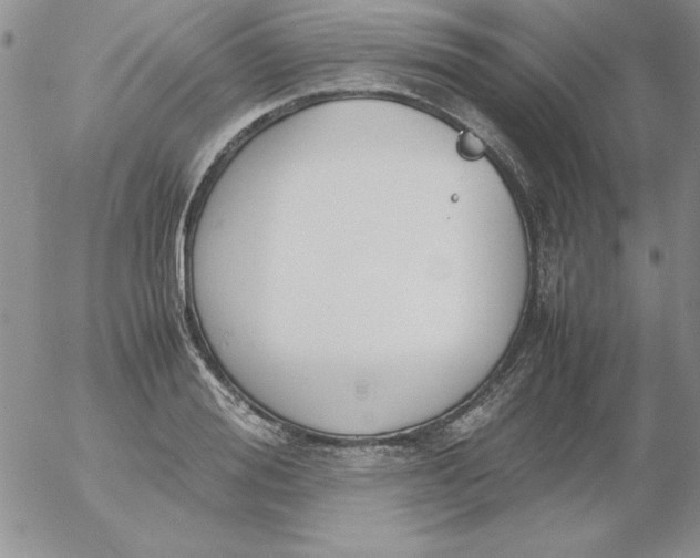 X0000055510988200509022053