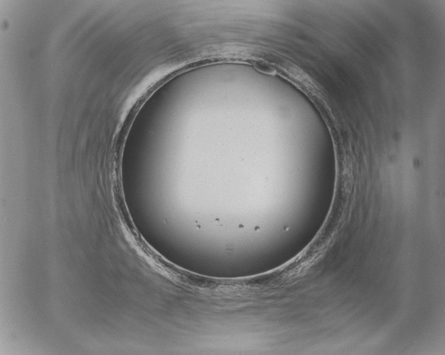 X0000055510989200509022053