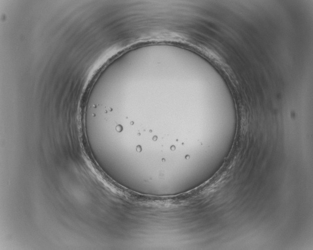 X0000055510990200509022053