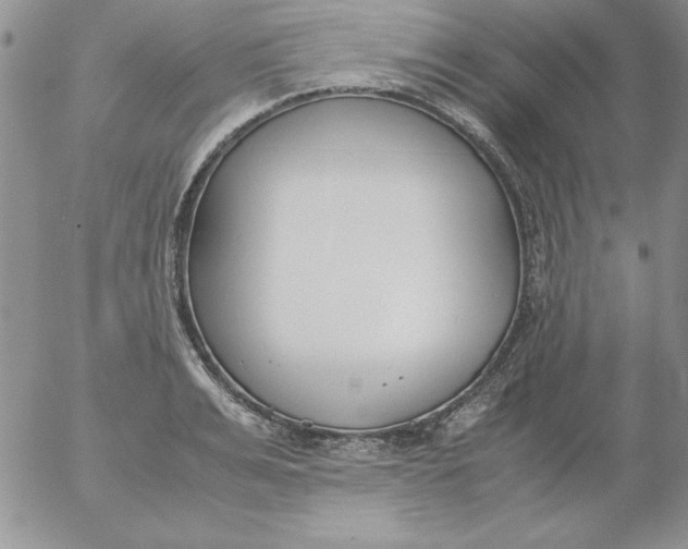 X0000055510991200509022053