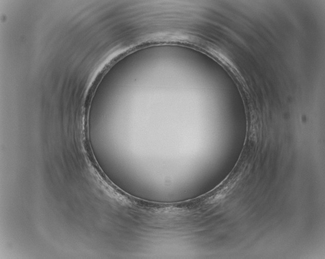 X0000055510992200509022053