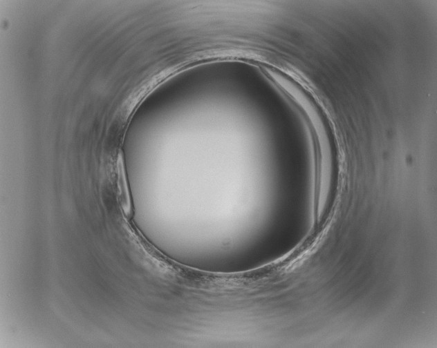 X0000055510993200509022053