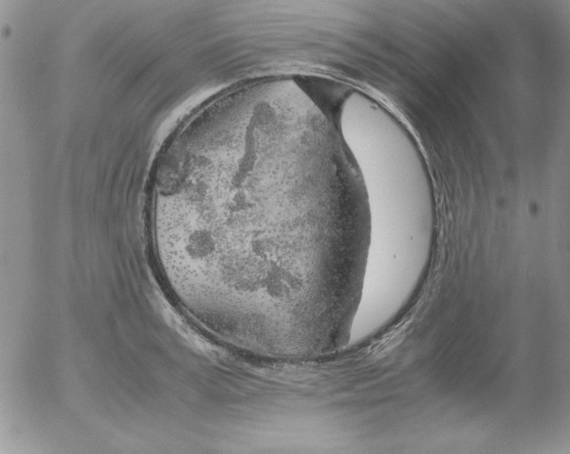 X0000055510995200509022053