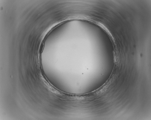 X0000055510996200509022053