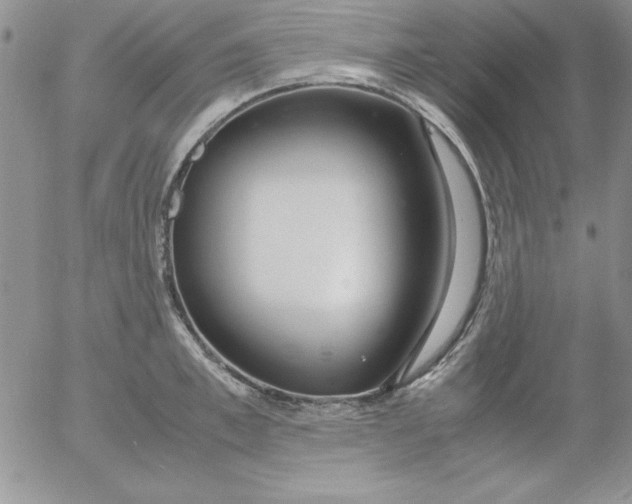 X0000055510997200509022053