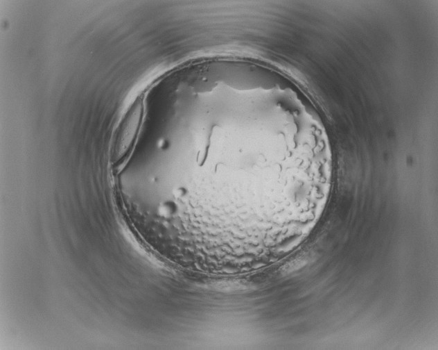 X0000055510998200509022053