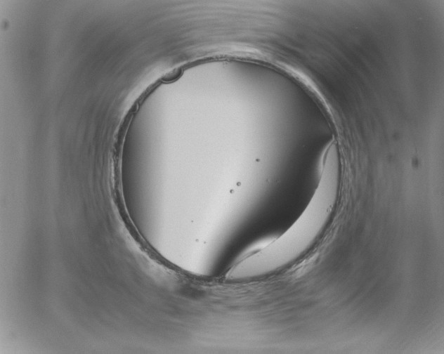 X0000055510999200509022053