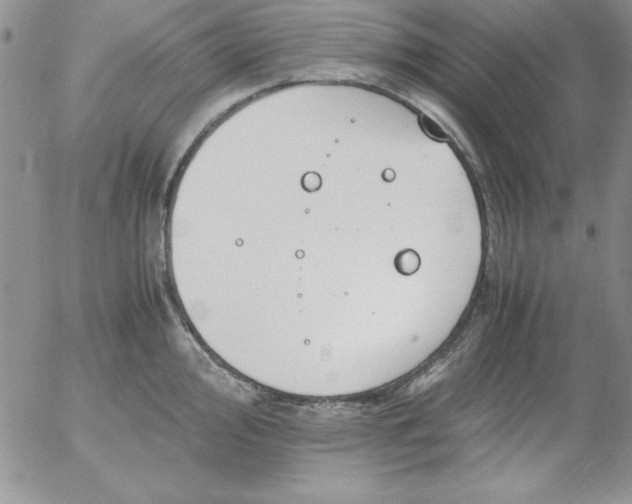 X0000055511000200509022053