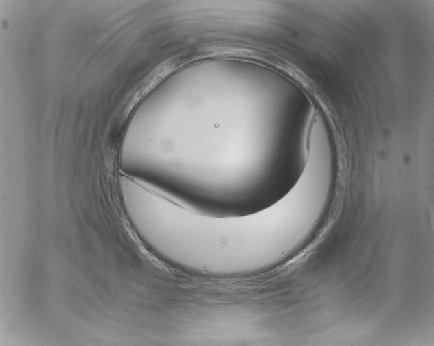 X0000055511001200509022053