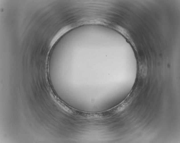 X0000055511002200509022053