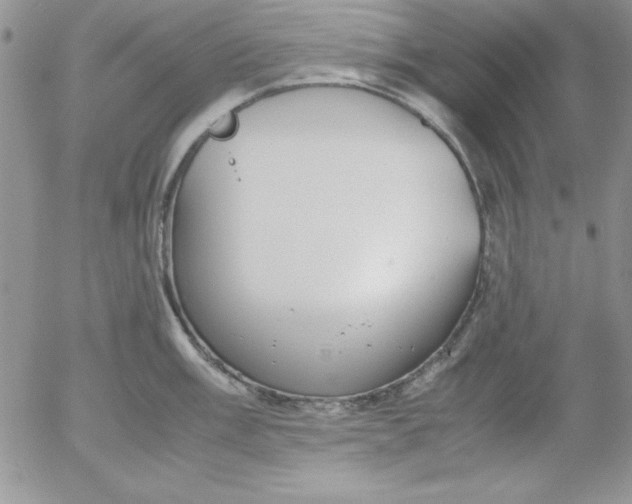 X0000055511003200509022053