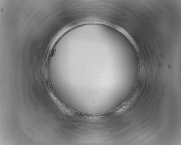 X0000055511004200509022053