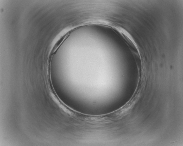 X0000055511005200509022053