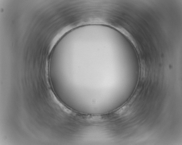 X0000055511006200509022053