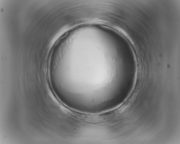 X0000055511007200509022053