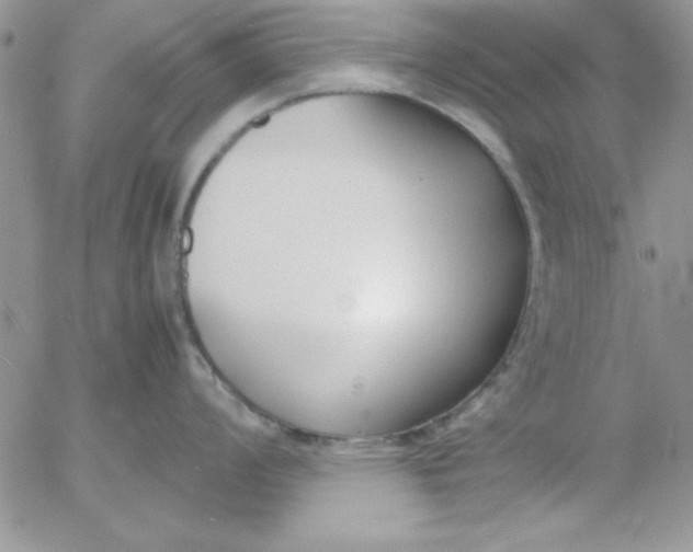 X0000055511008200509022053