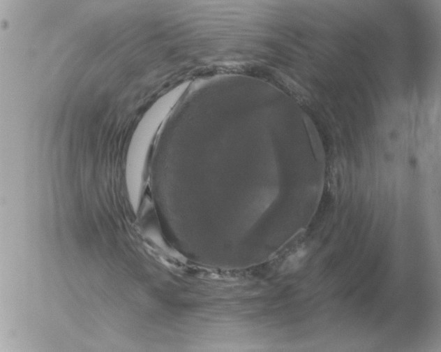 X0000055511010200509022052