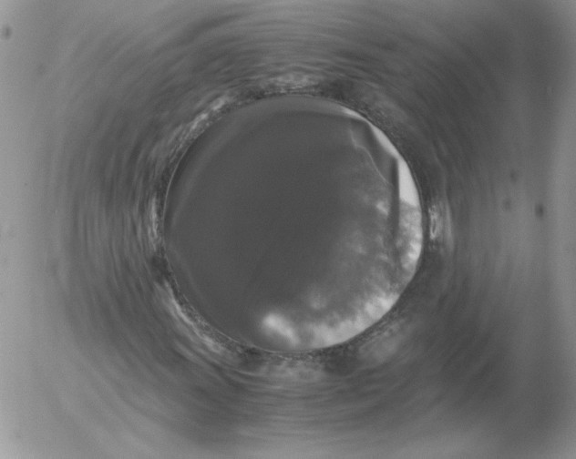 X0000055511011200509022052