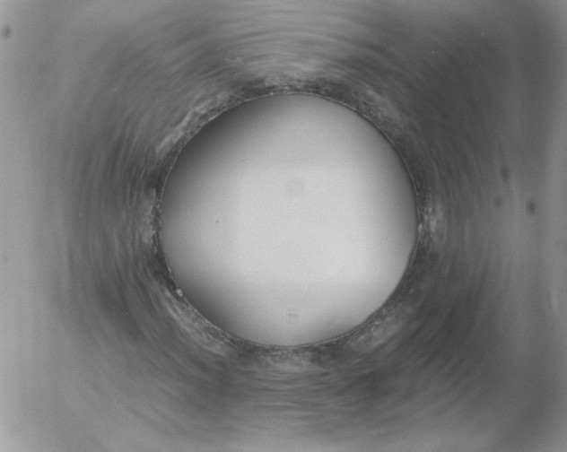 X0000055511012200509022052