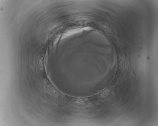 X0000055511013200509022052