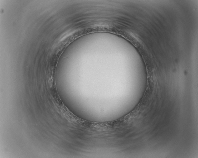 X0000055511015200509022052