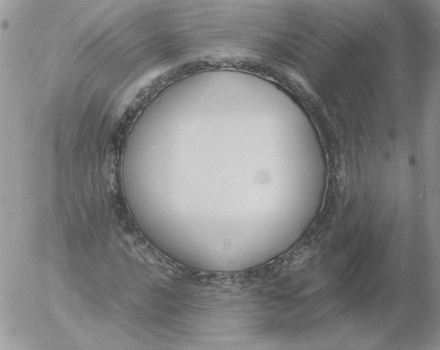 X0000055511016200509022052