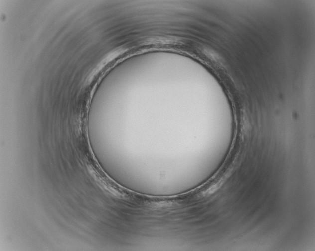 X0000055511017200509022052