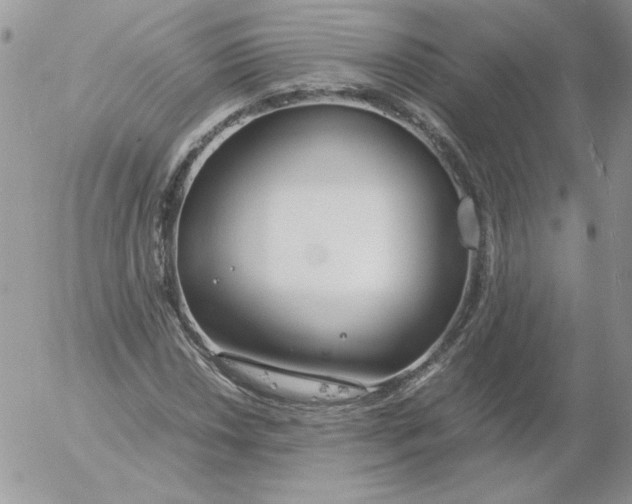 X0000055511018200509022052