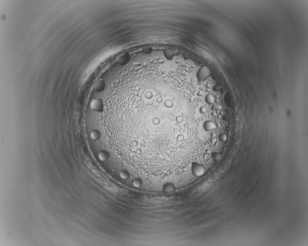 X0000055511019200509022052