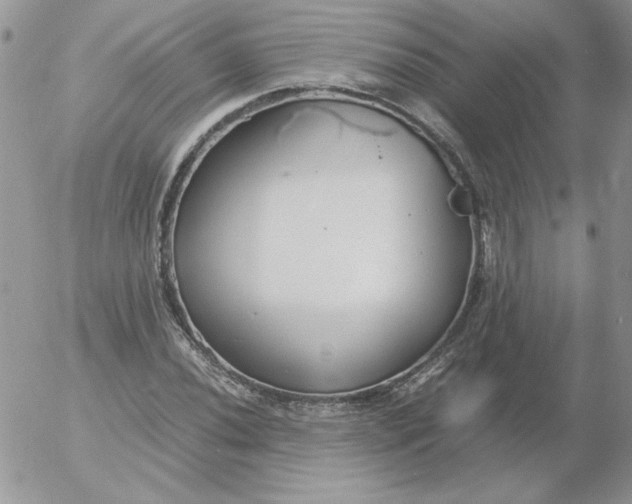 X0000055511020200509022052