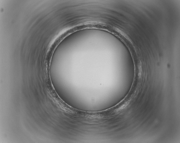 X0000055511021200509022052