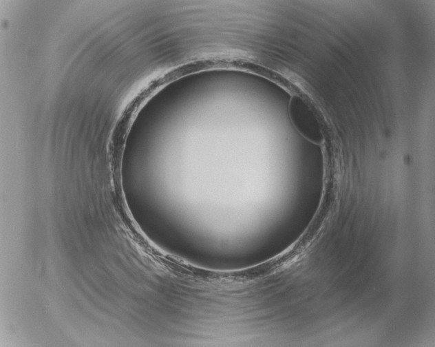 X0000055511022200509022052