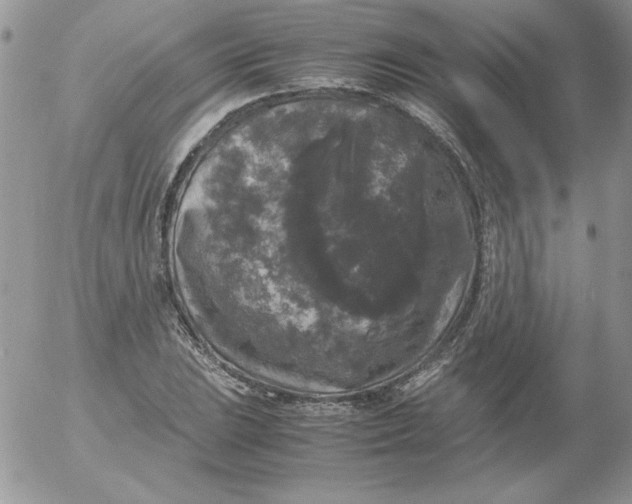 X0000055511023200509022052