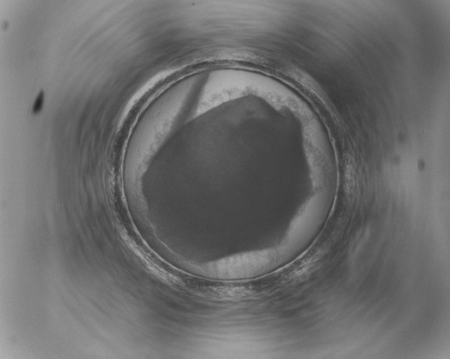 X0000055511024200509022052