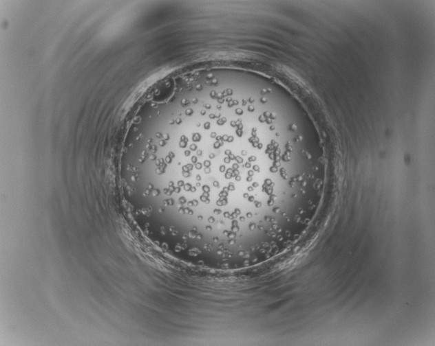 X0000055511025200509022052