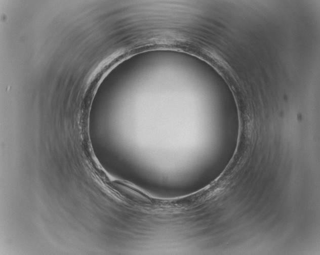 X0000055511026200509022052