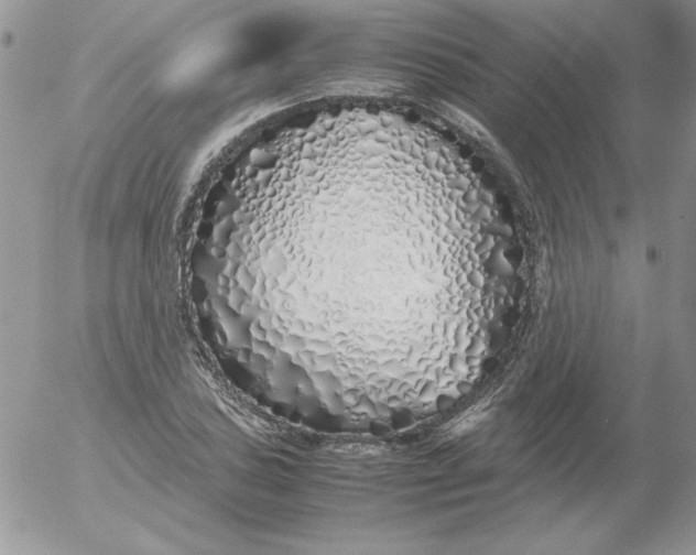 X0000055511027200509022052